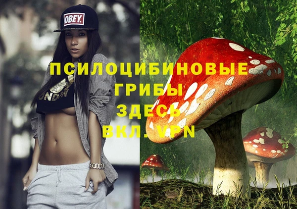 скорость Алексин