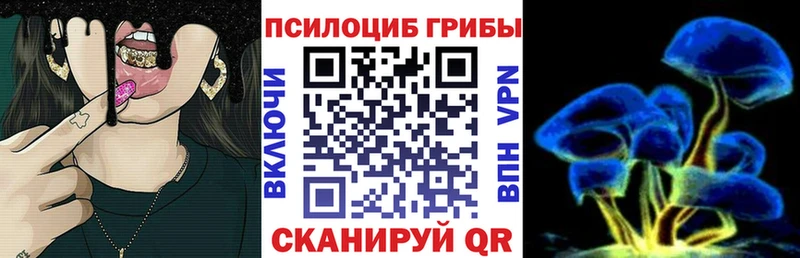 купить наркоту  Лысьва  Галлюциногенные грибы MAGIC MUSHROOMS 