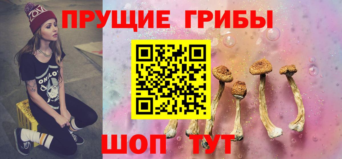 Галлюциногенные грибы GOLDEN TEACHER Лысьва